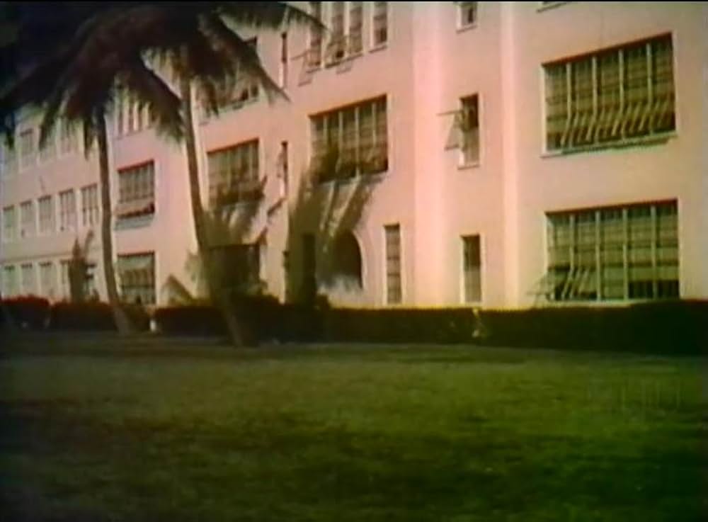 Daughter of the Sun（原題）の画像