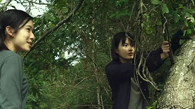 リトル・フォレスト 夏・秋の画像