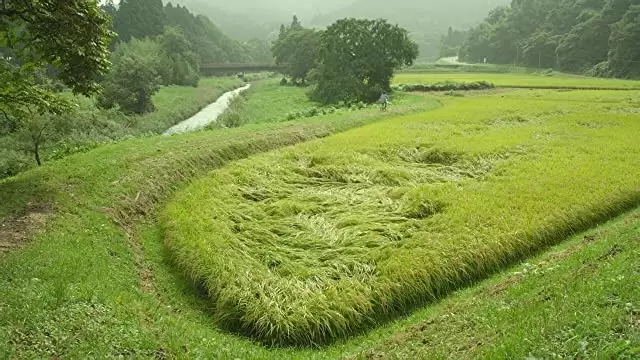 リトル・フォレスト 夏・秋の画像
