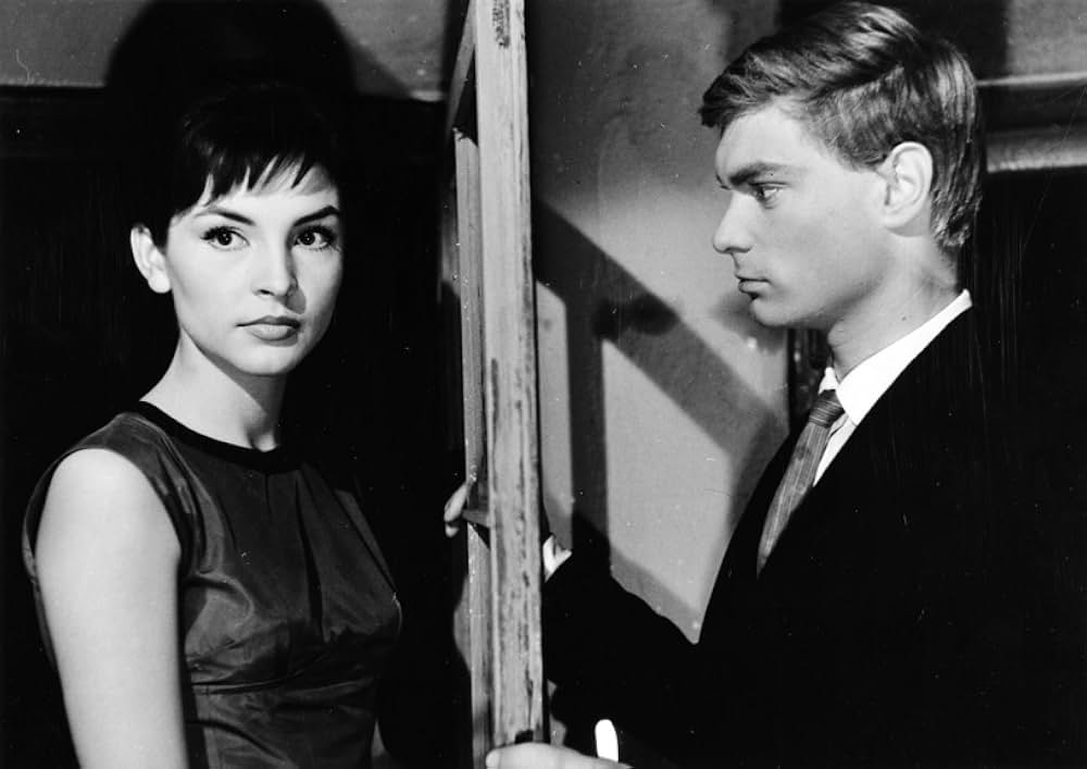 Tarpany（原題）の画像