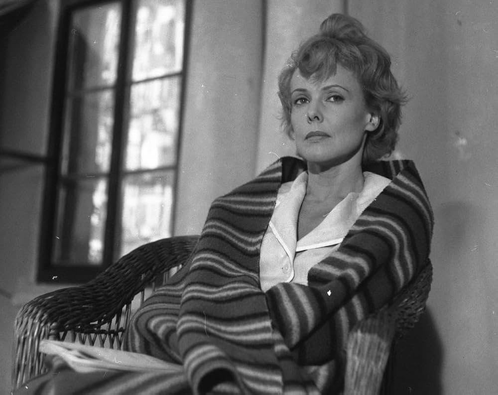 Tarpany（原題）の写真