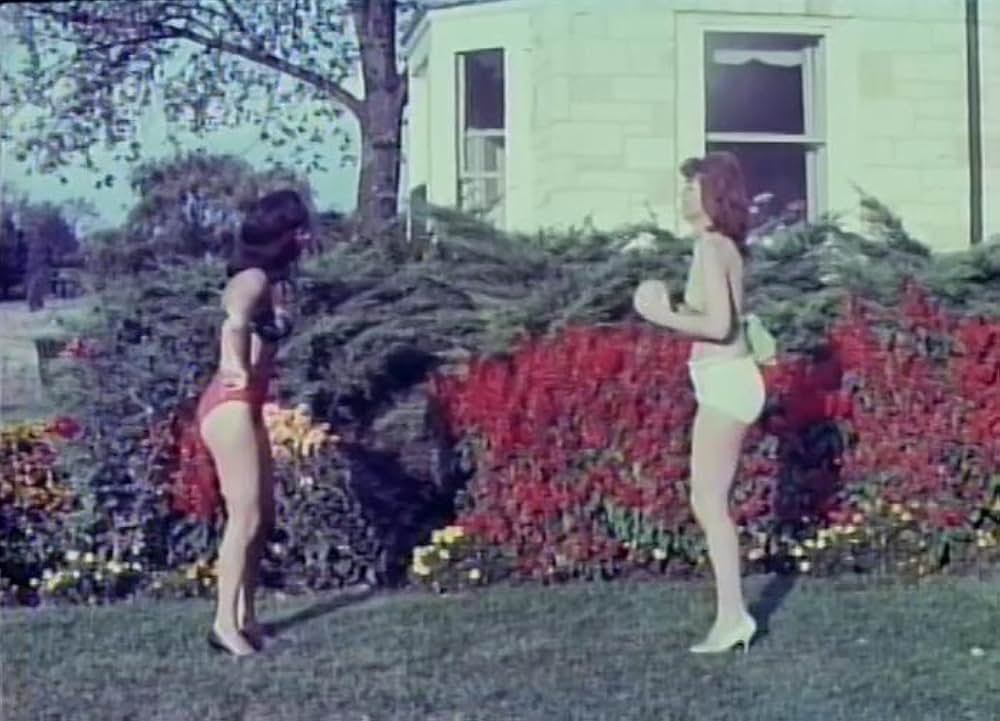 Boin-n-g（原題）の画像