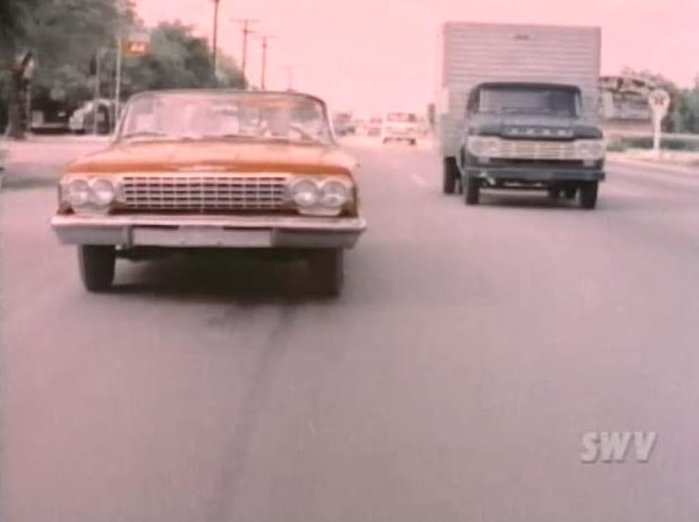 Nature's Playmates（原題）の画像