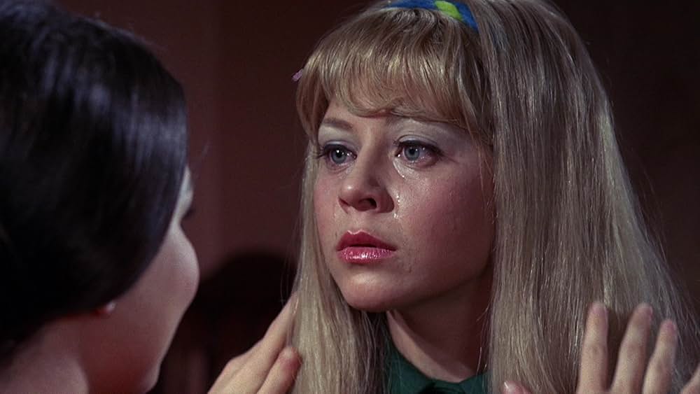 エコエコアラディア ウィッチ・マークの写真