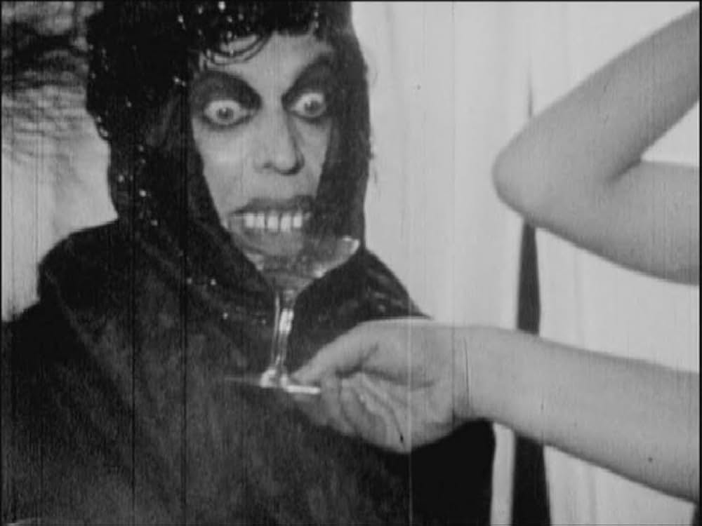 ノー・プレジデントの写真