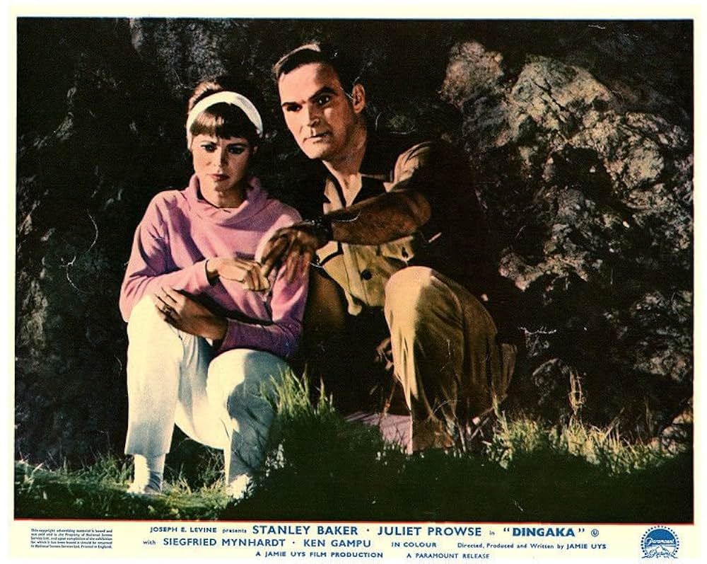 ディンガカの画像