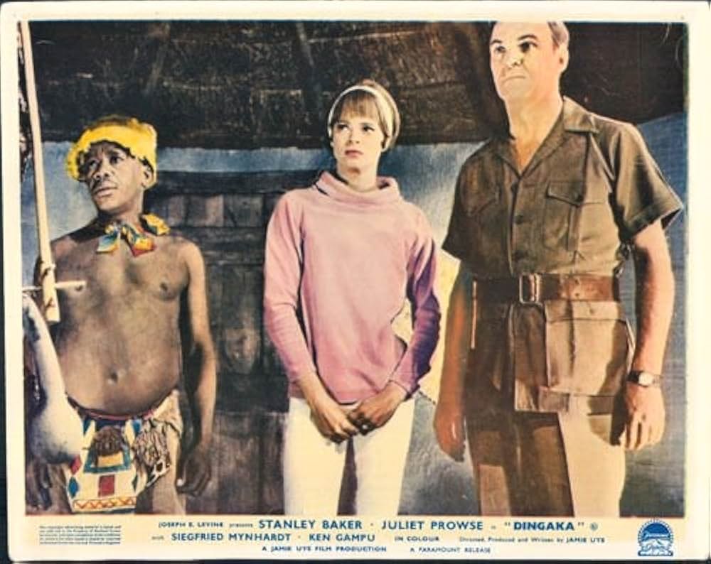 ディンガカの画像