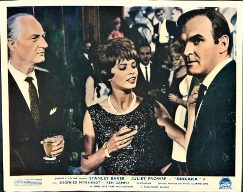 ディンガカの画像