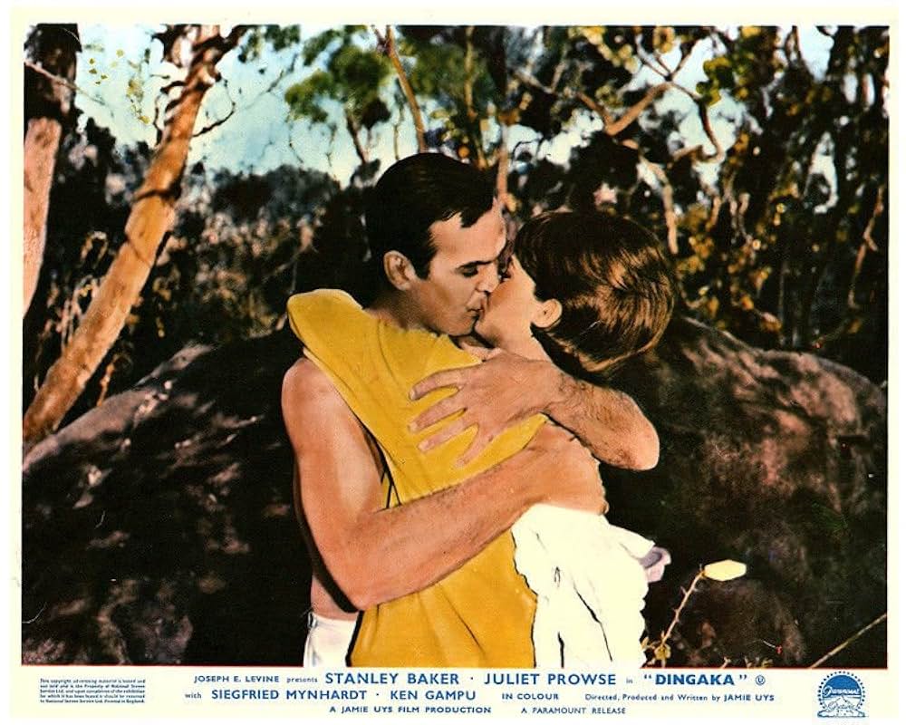 ディンガカの画像