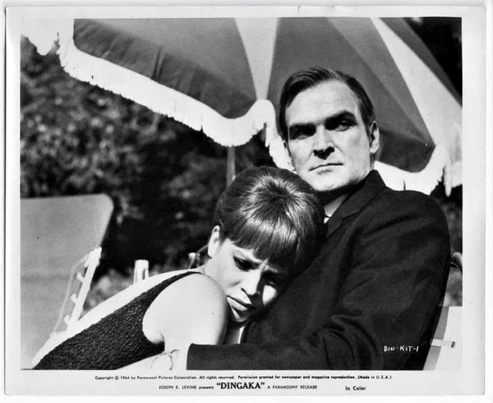 ディンガカの画像