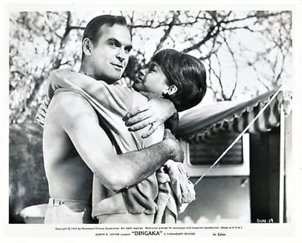 ディンガカの画像