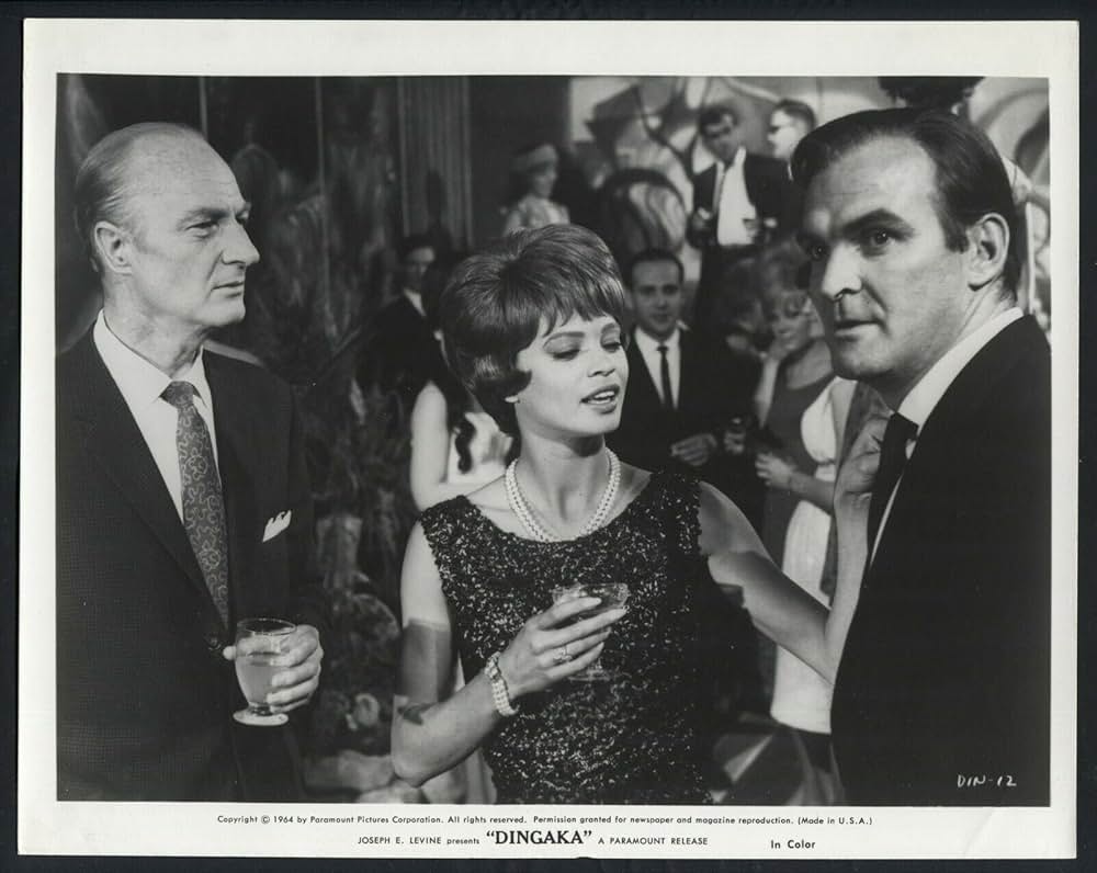 ディンガカの画像