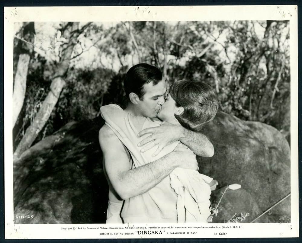 ディンガカの画像