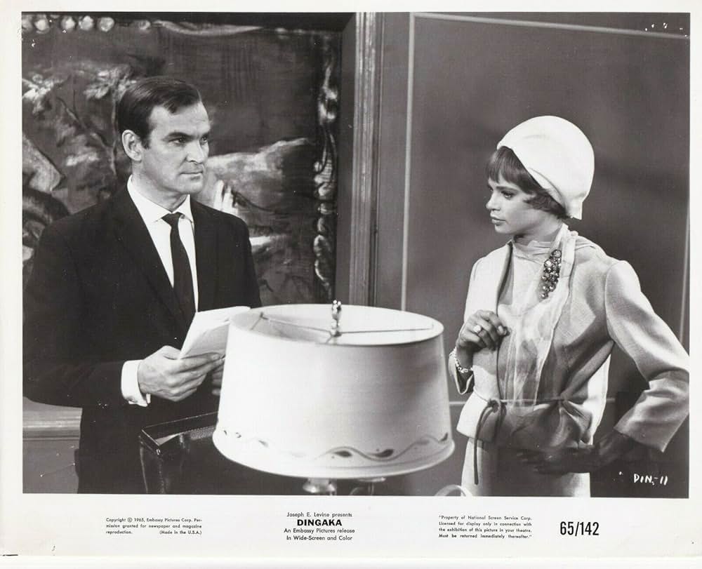 ディンガカの画像