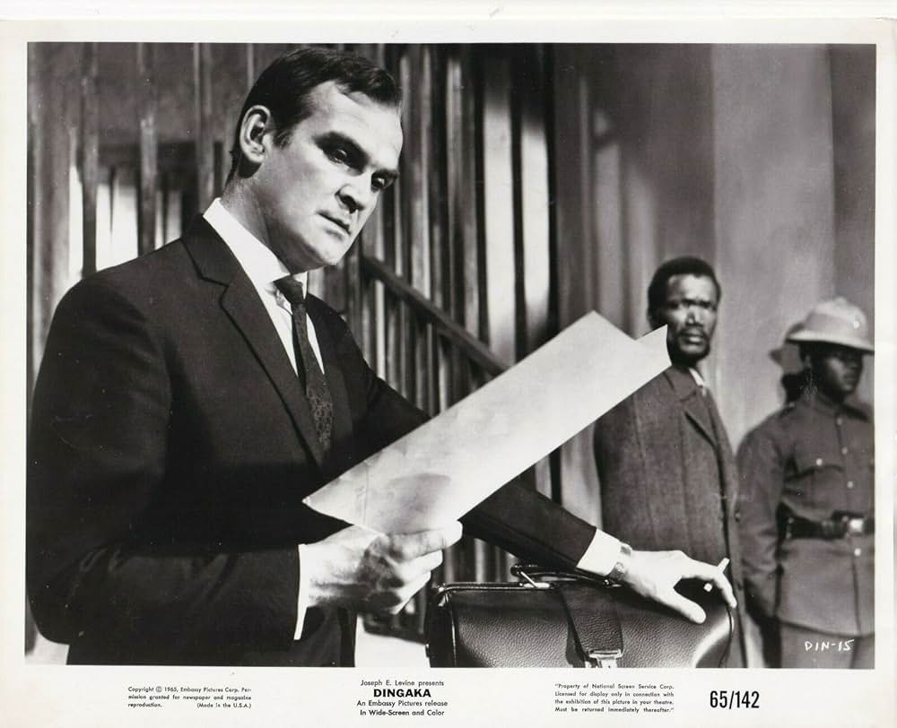 ディンガカの画像