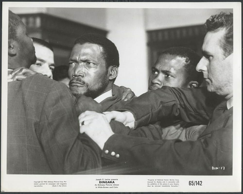 ディンガカの画像