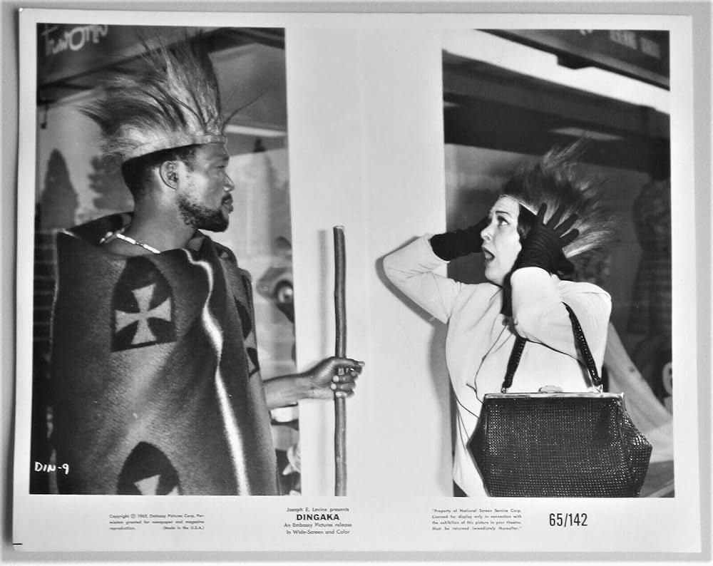 ディンガカの画像