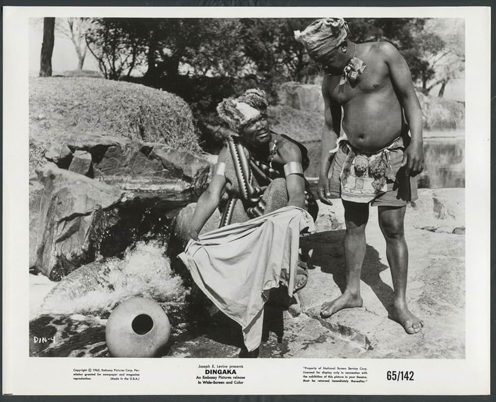 ディンガカの画像