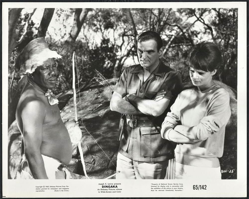 ディンガカの画像