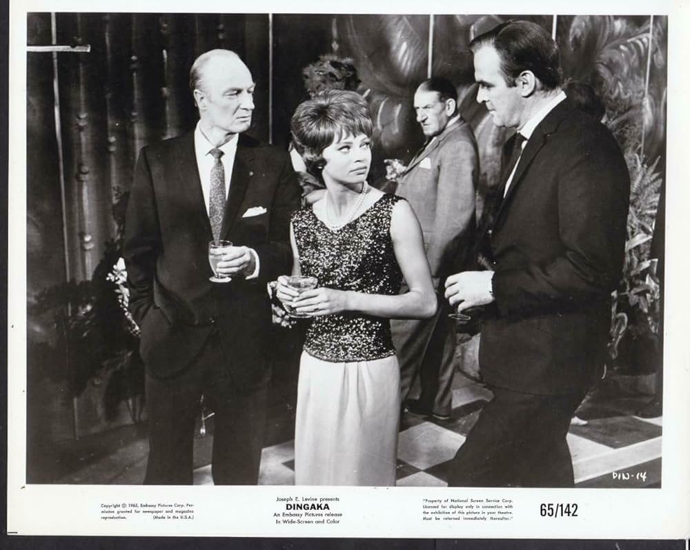 ディンガカの画像