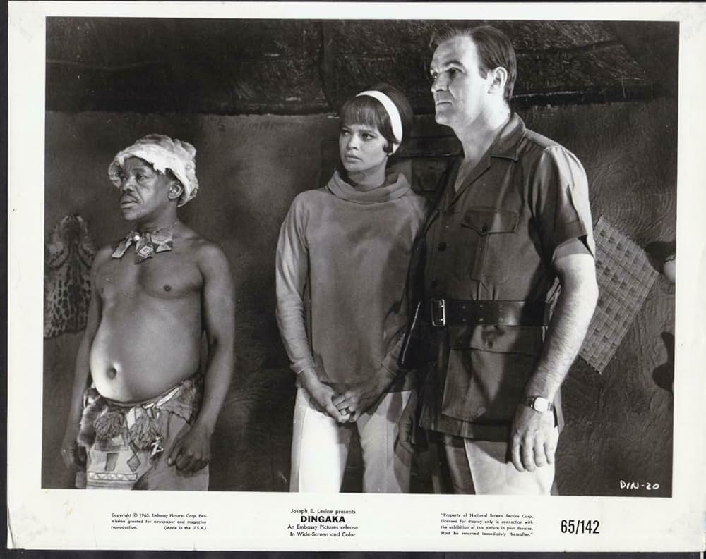 ディンガカの画像