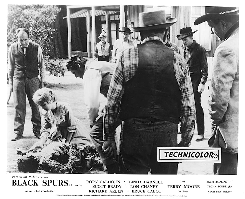 黒い拍車の写真