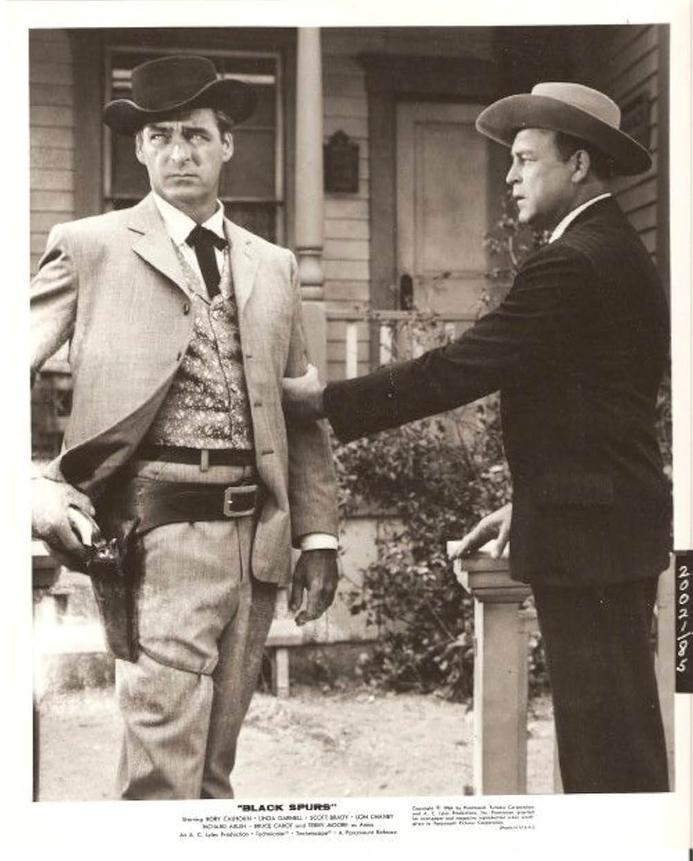 黒い拍車の画像