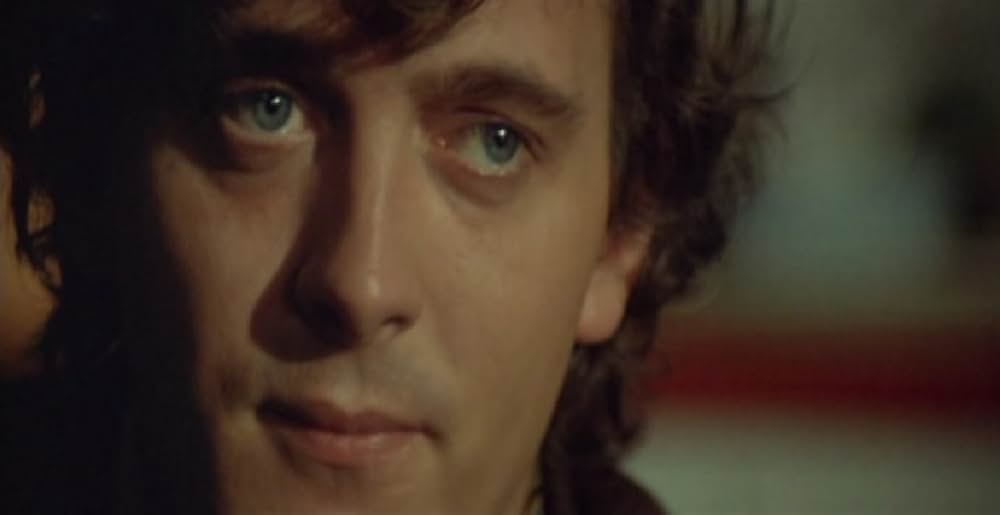 マロニエの別れ道の画像