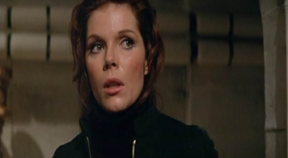 マロニエの別れ道の画像