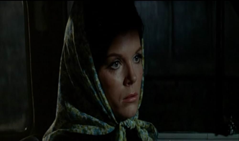 マロニエの別れ道の画像