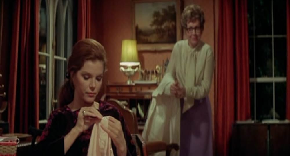 マロニエの別れ道の写真