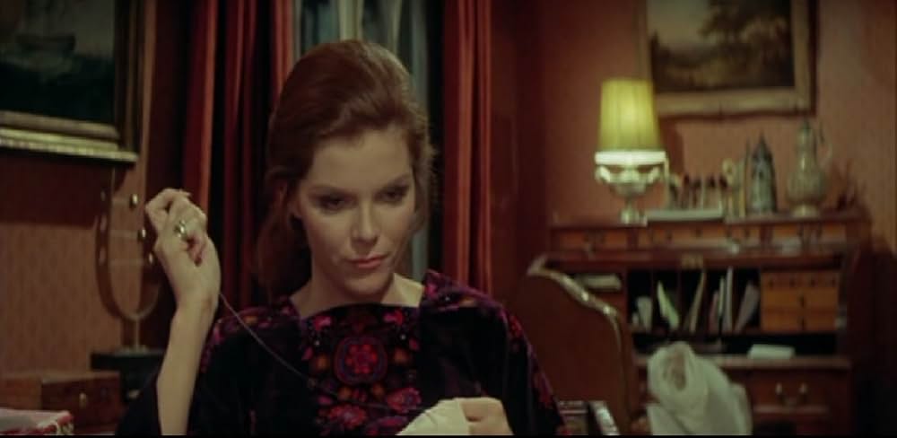 マロニエの別れ道の画像