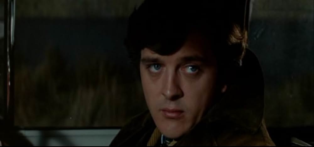 マロニエの別れ道の画像