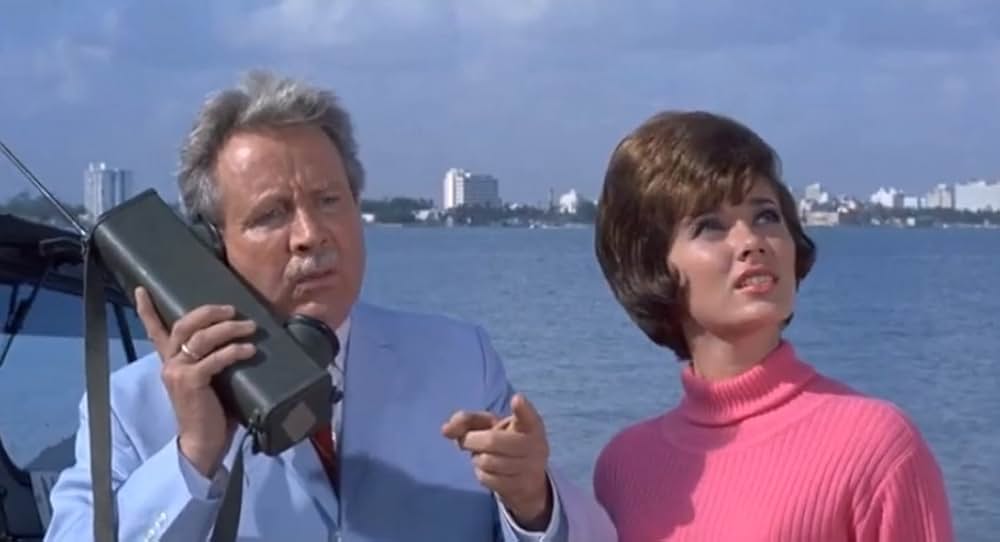 空中スパイ野郎の写真