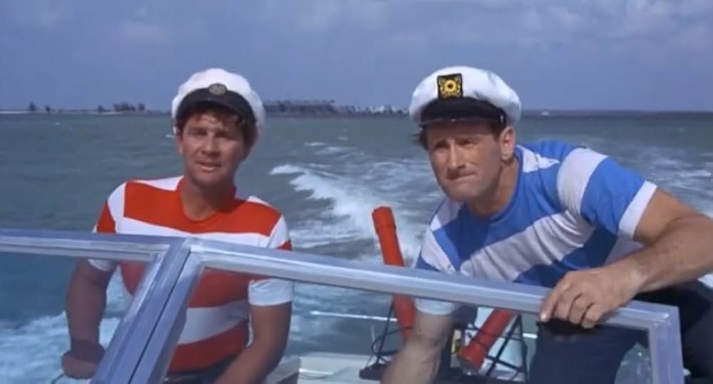 空中スパイ野郎の画像