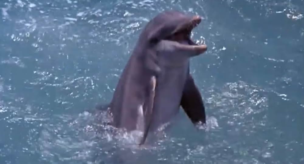 空中スパイ野郎の画像