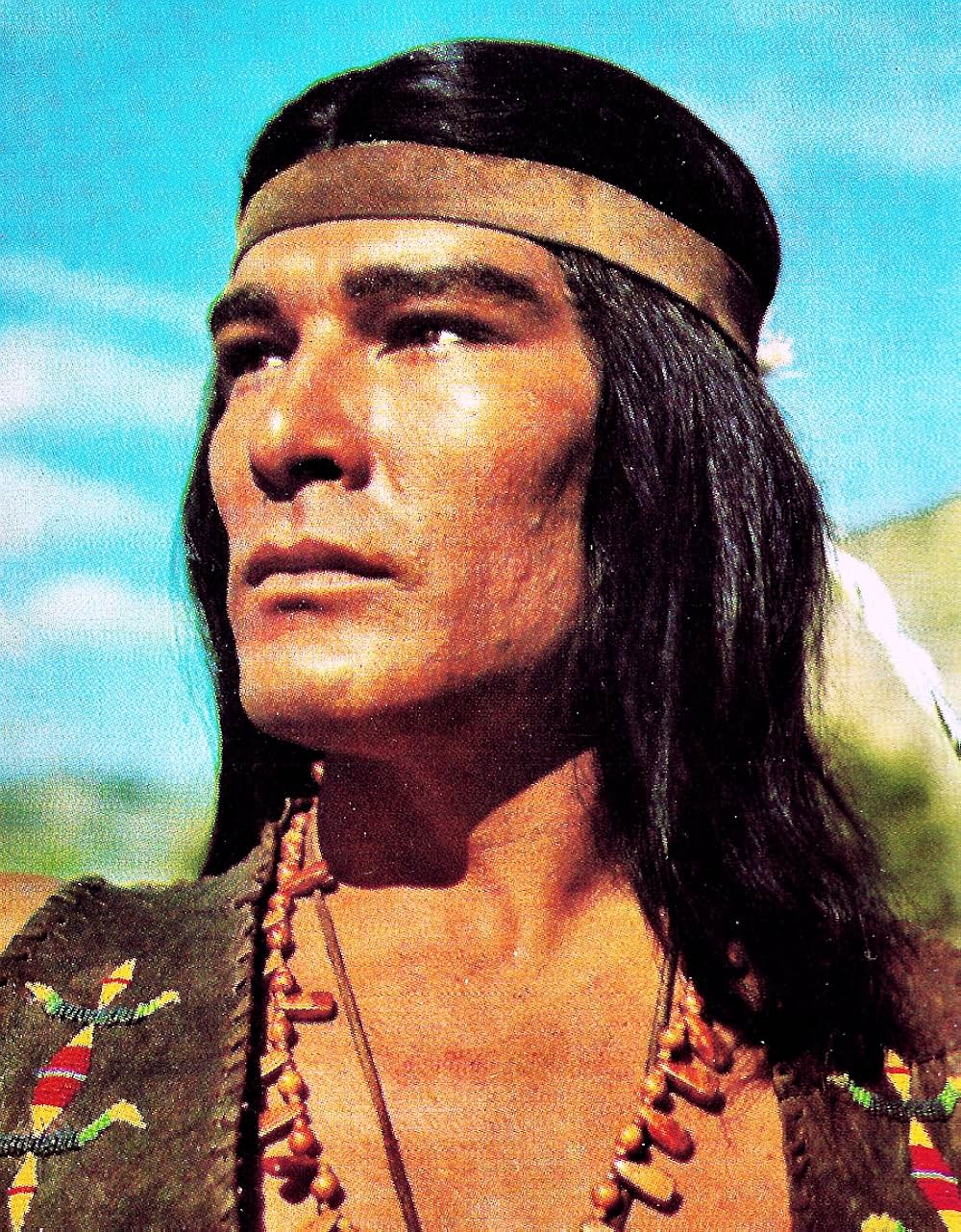 夕陽のモヒカン族の写真