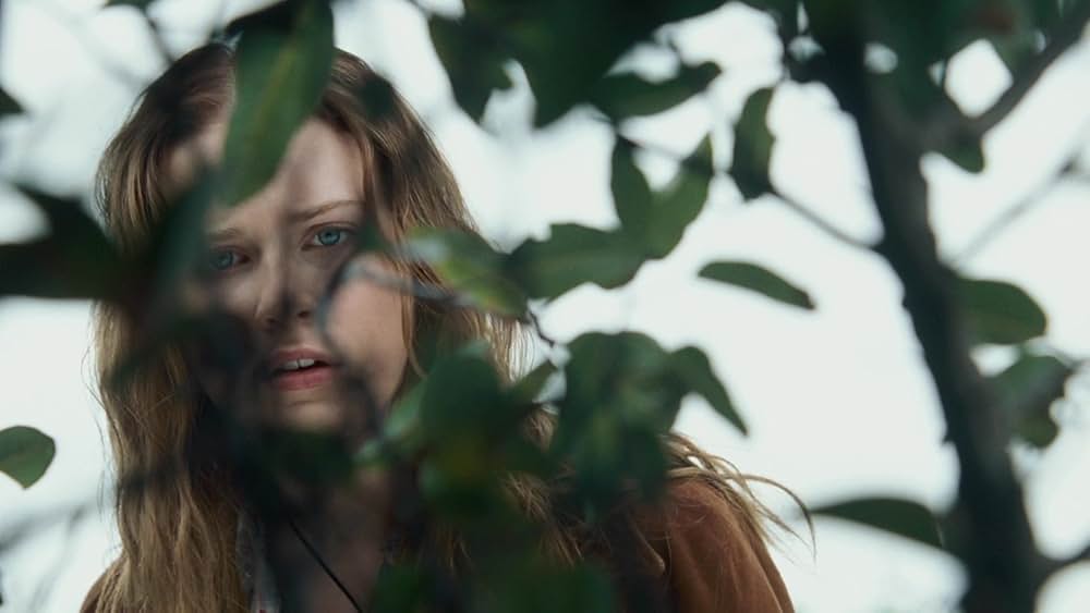 カリフォルニア・トレジャーの画像