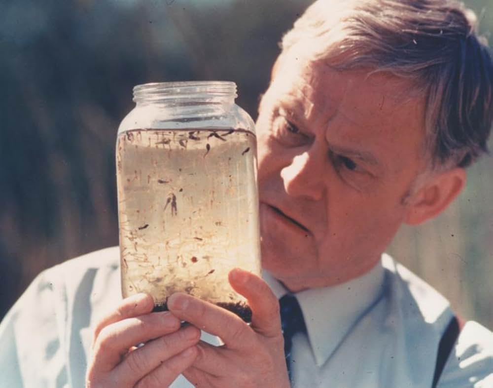 Den forsvundne fuldmægtig（原題）の画像