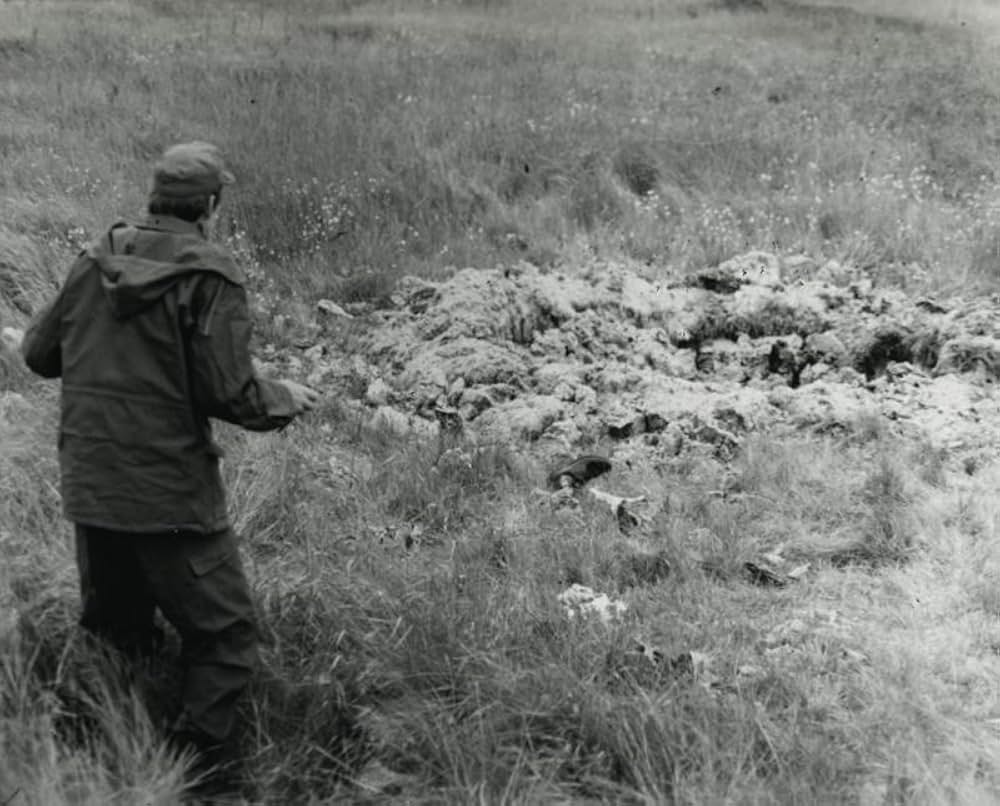 Den forsvundne fuldmægtig（原題）の画像