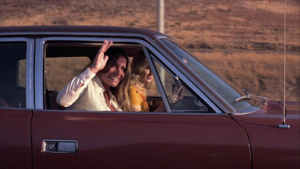 The Black Gestapo（原題）の画像