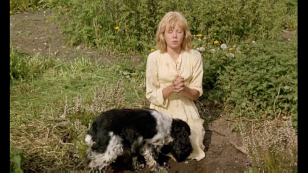 Sky West and Crooked（原題）の画像