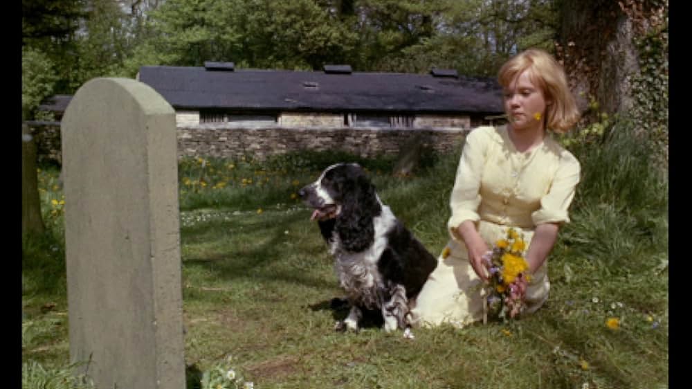 Sky West and Crooked（原題）の画像