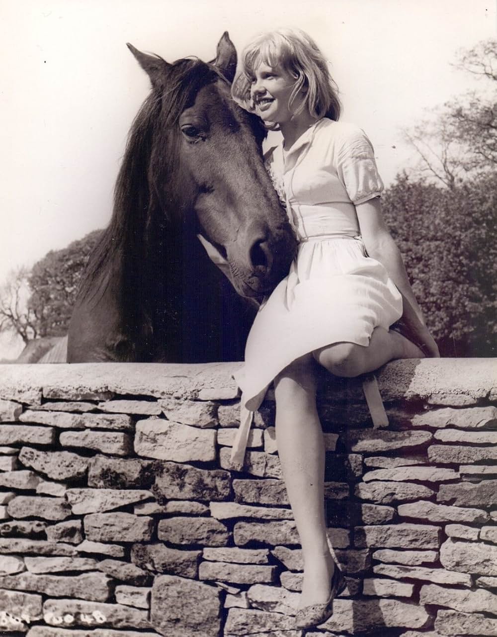 Sky West and Crooked（原題）の画像