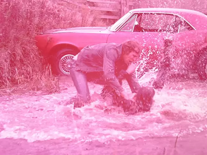 ウィークエンドの画像