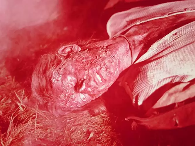 ウィークエンドの画像