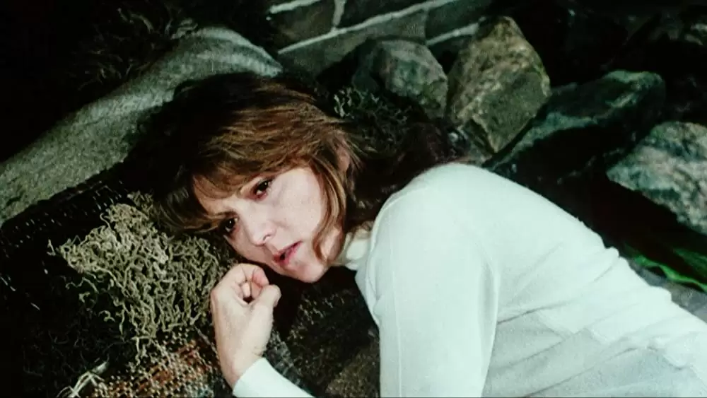 ウィークエンドの画像