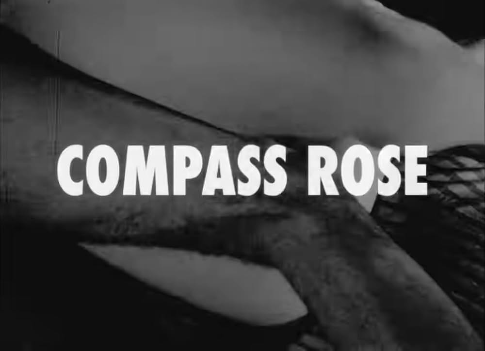 Compass Rose（原題）の画像