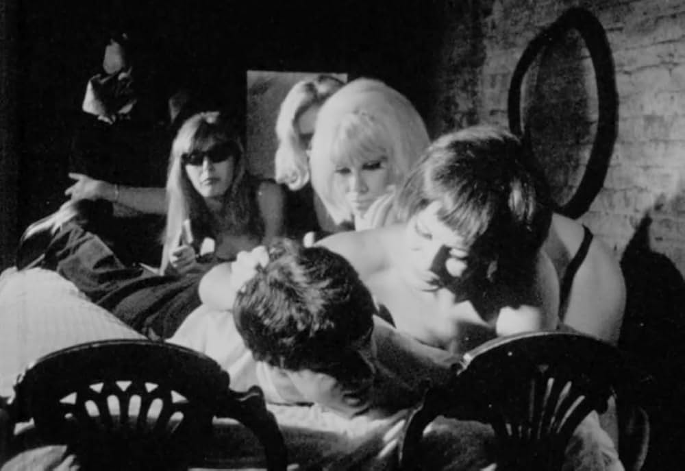 Compass Rose（原題）の画像