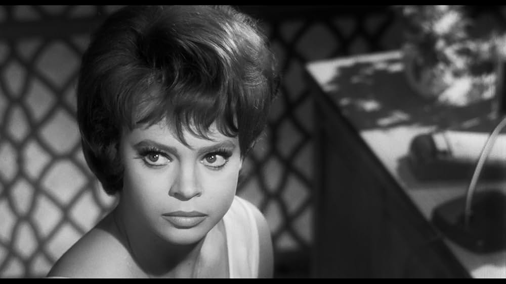 Who Killed Teddy Bear（原題）の画像